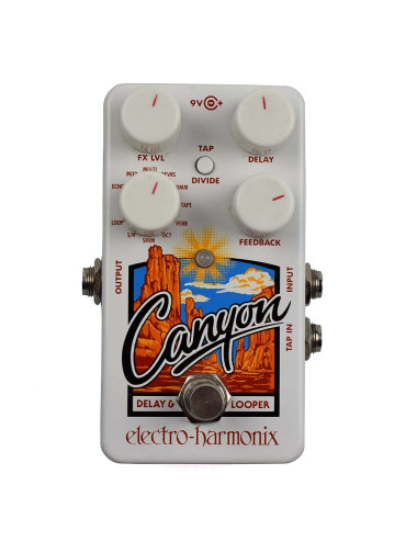 Electro Harmonix Canyon Delay & Looper