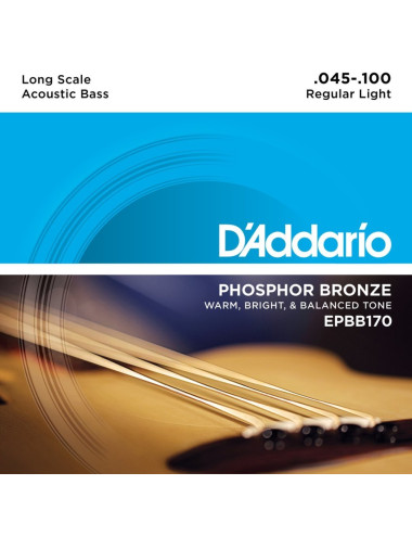 D\'Addario EPBB170 Acoustic Bass 45-100