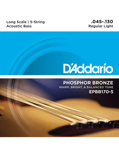 D\'Addario EPBB170-5 Acoustic Bass 45-130