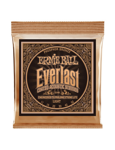 Ernie Ball 2548 Everlast Phosphor Bronze